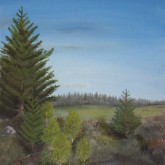 1024_768_Landskap_91