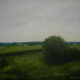 800_600_landskapigrönt_93