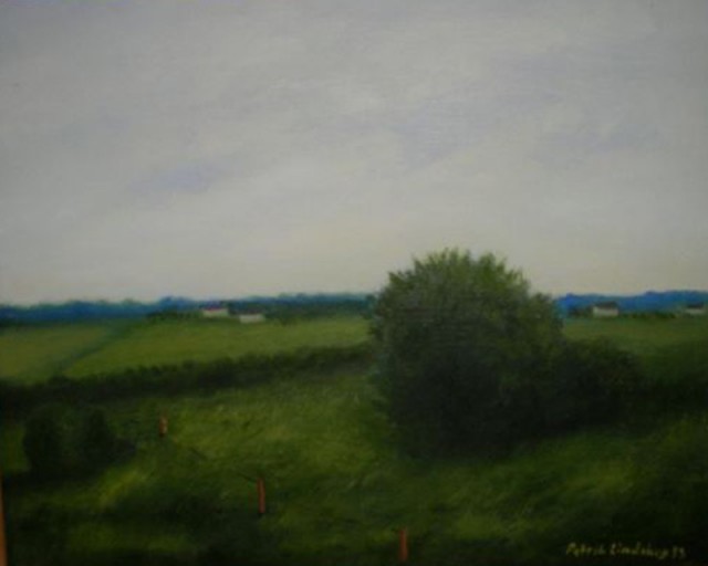 800_600_landskapigrönt_93